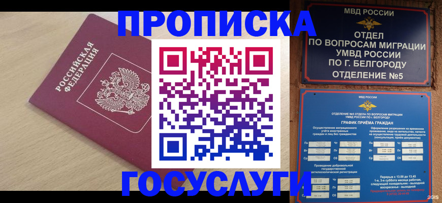 прописка законно в Камешково